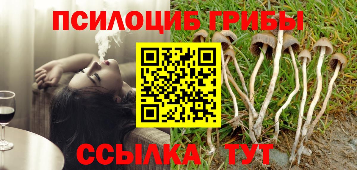 Псилоцибиновые грибы Cubensis Красноярск