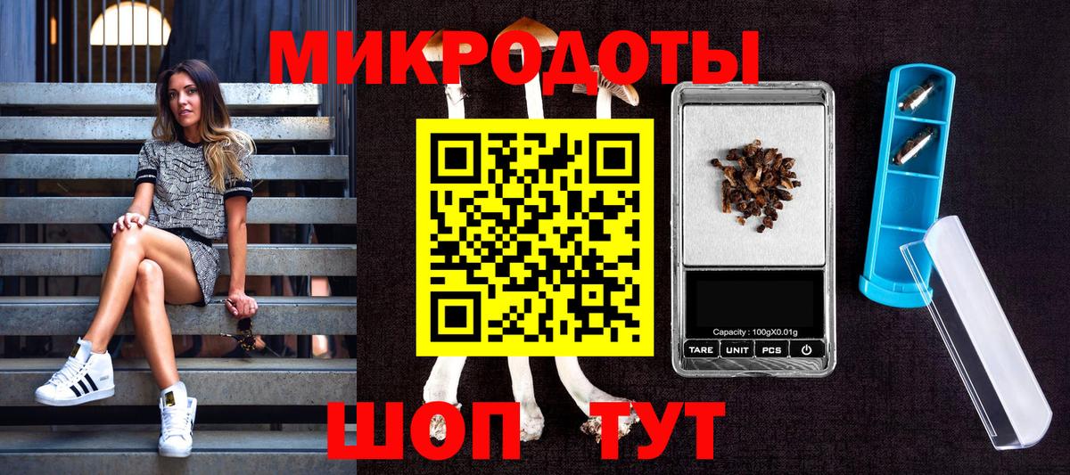 Галлюциногенные грибы ЛСД  Галлюциногенные грибы GOLDEN TEACHER  Красноярск  Вход с VPN 